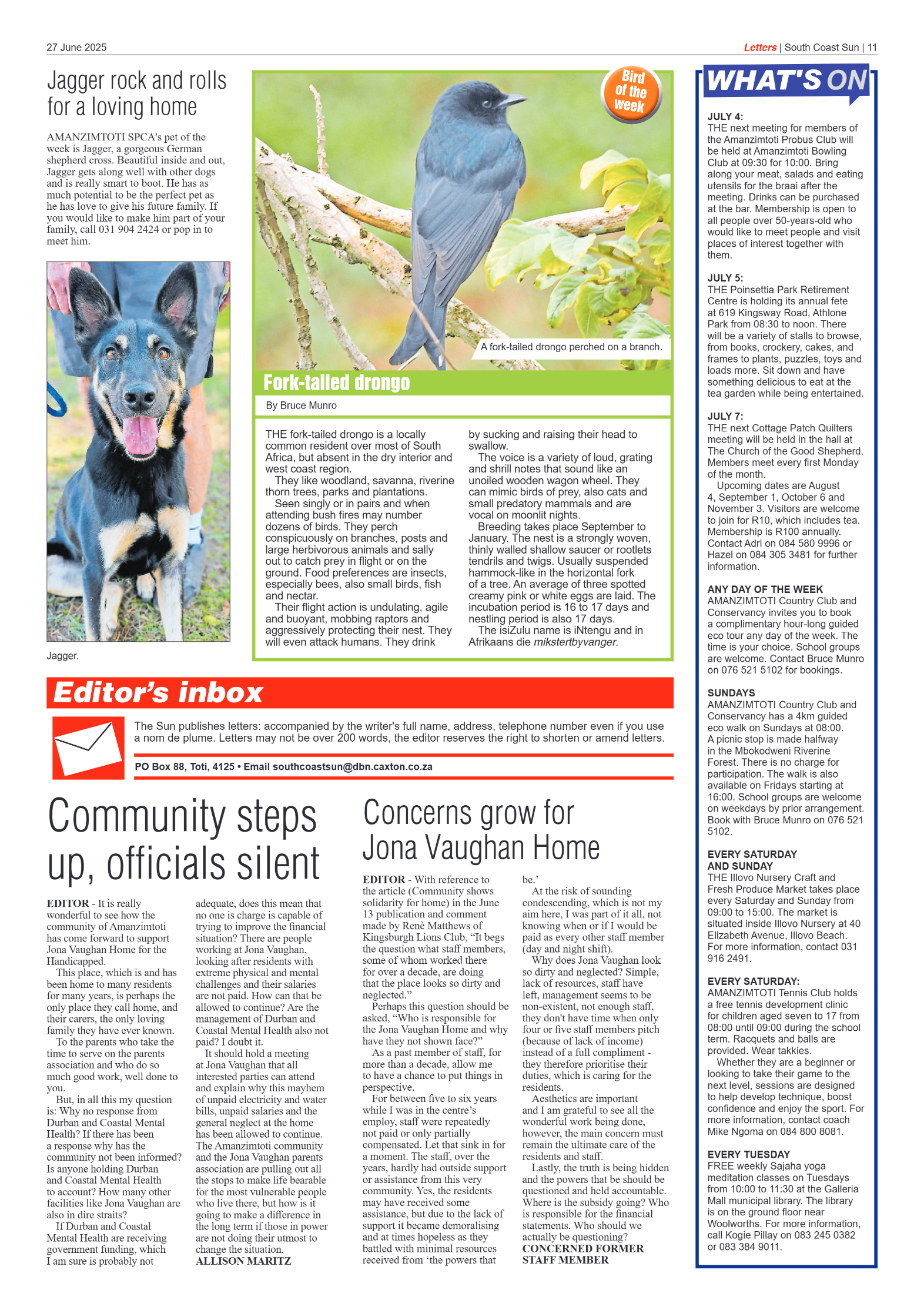 South Coast Sun 27 June 2025 page 11