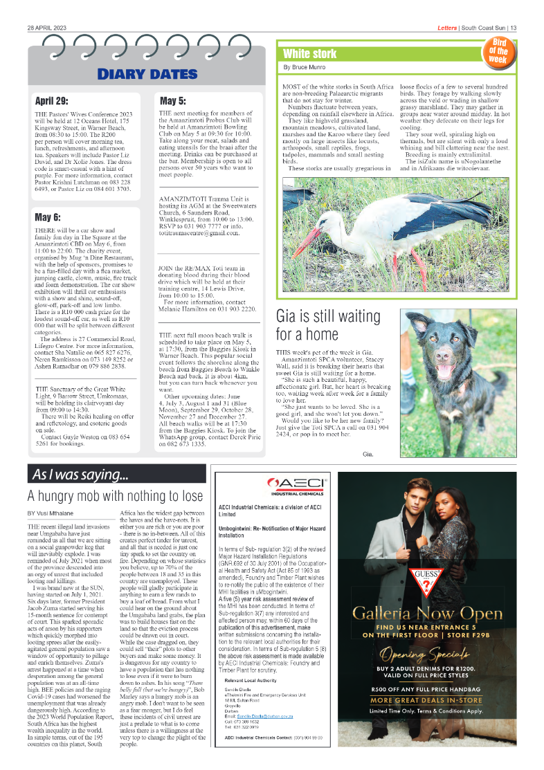 South Coast Sun 28 April 2023 page 13