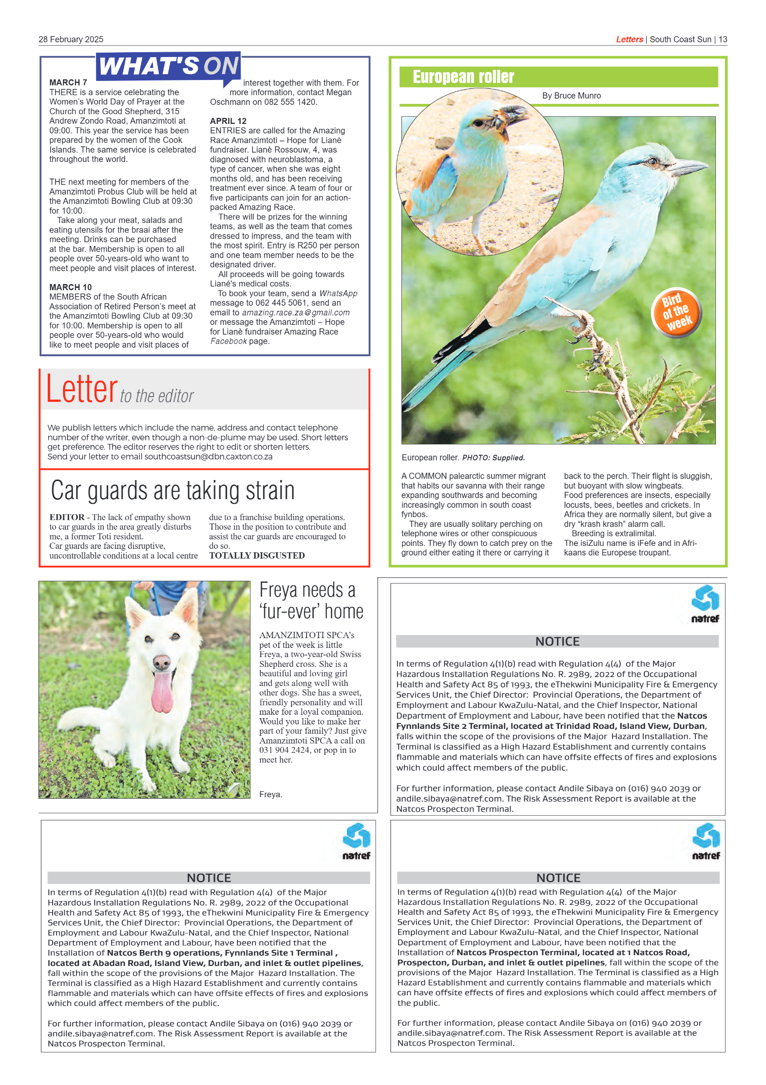 South Coast Sun 28 February 2025 page 13