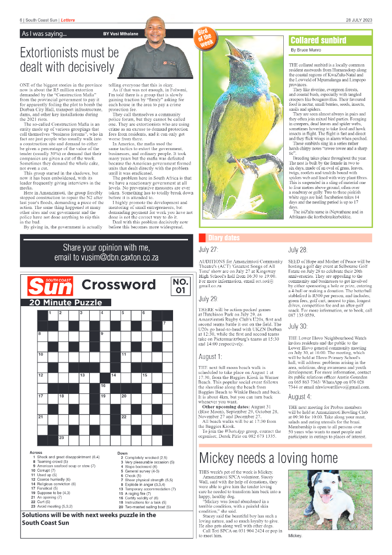 South Coast Sun 28 July 2023 page 6