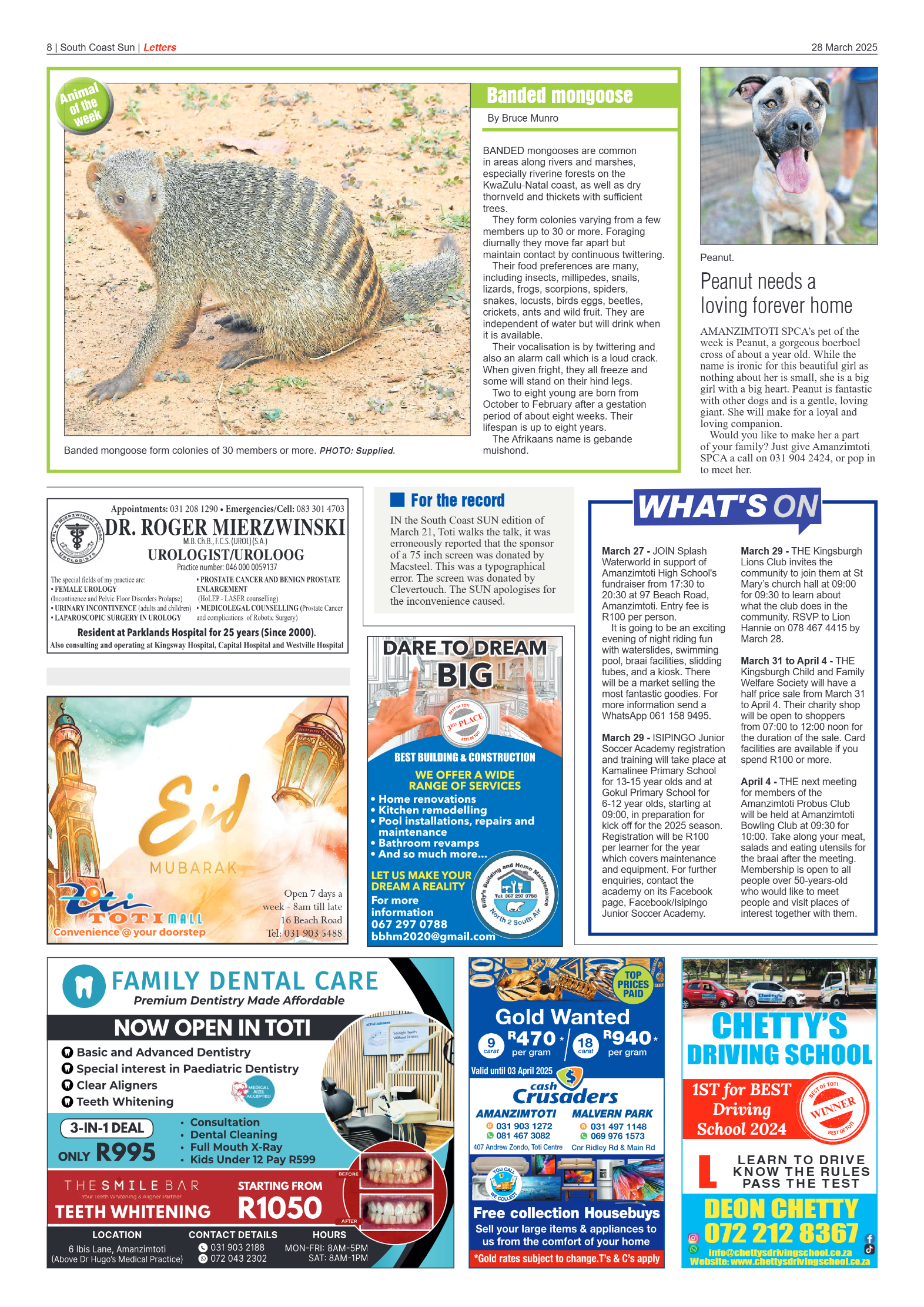 South Coast Sun 28 March 2025 page 8