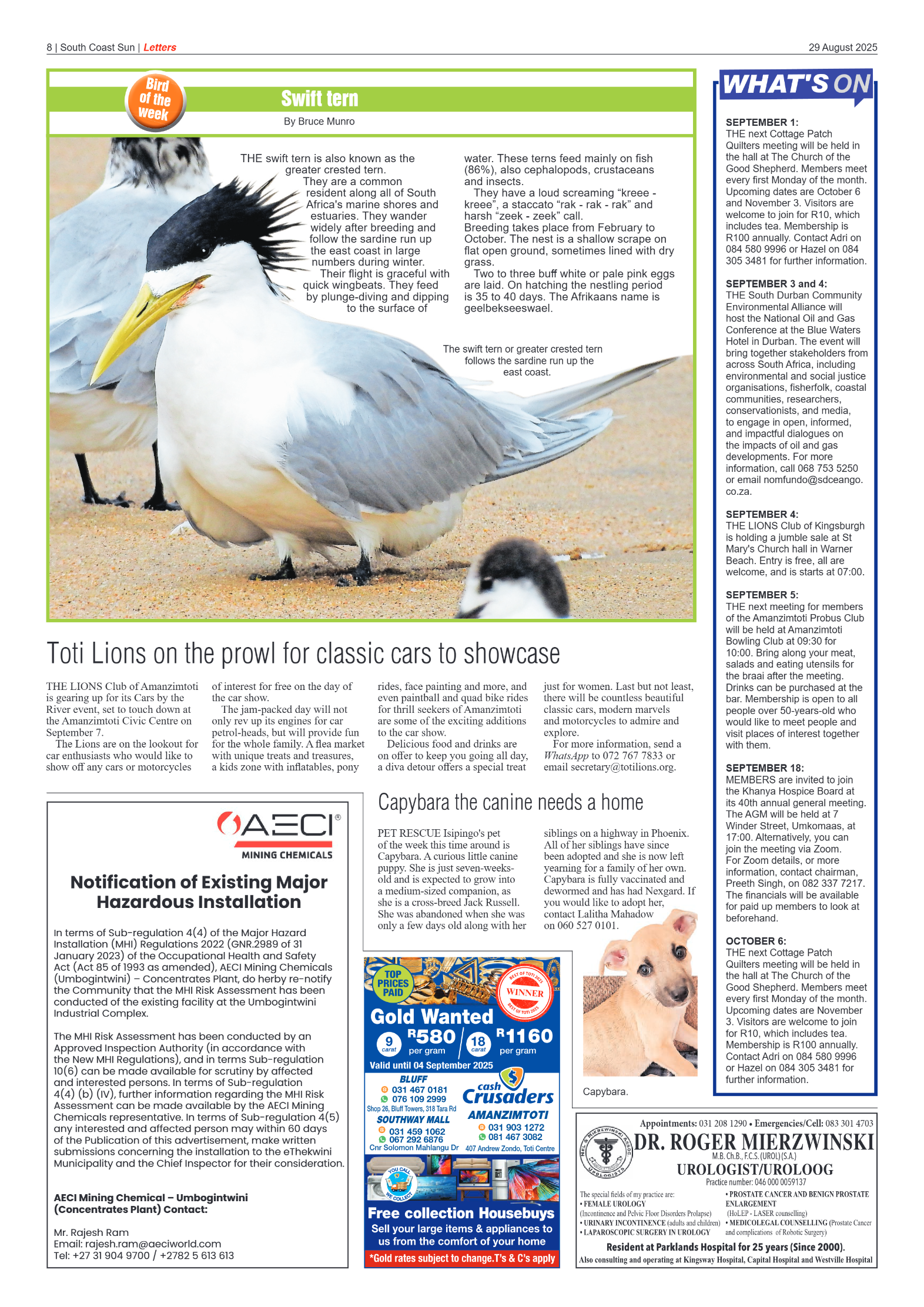 South Coast Sun 29 August 2025 page 8