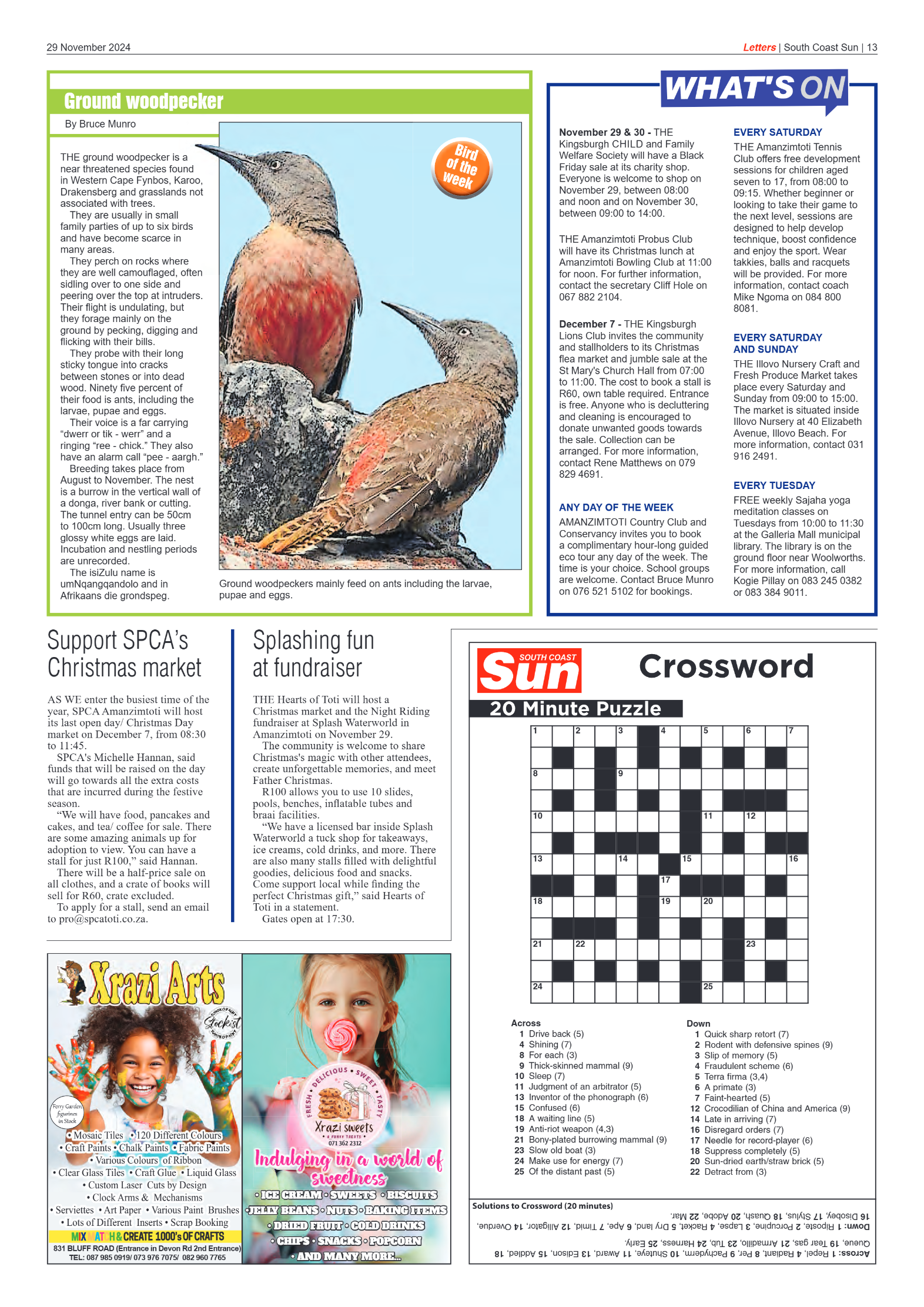 South Coast Sun 29 November 2024 page 13