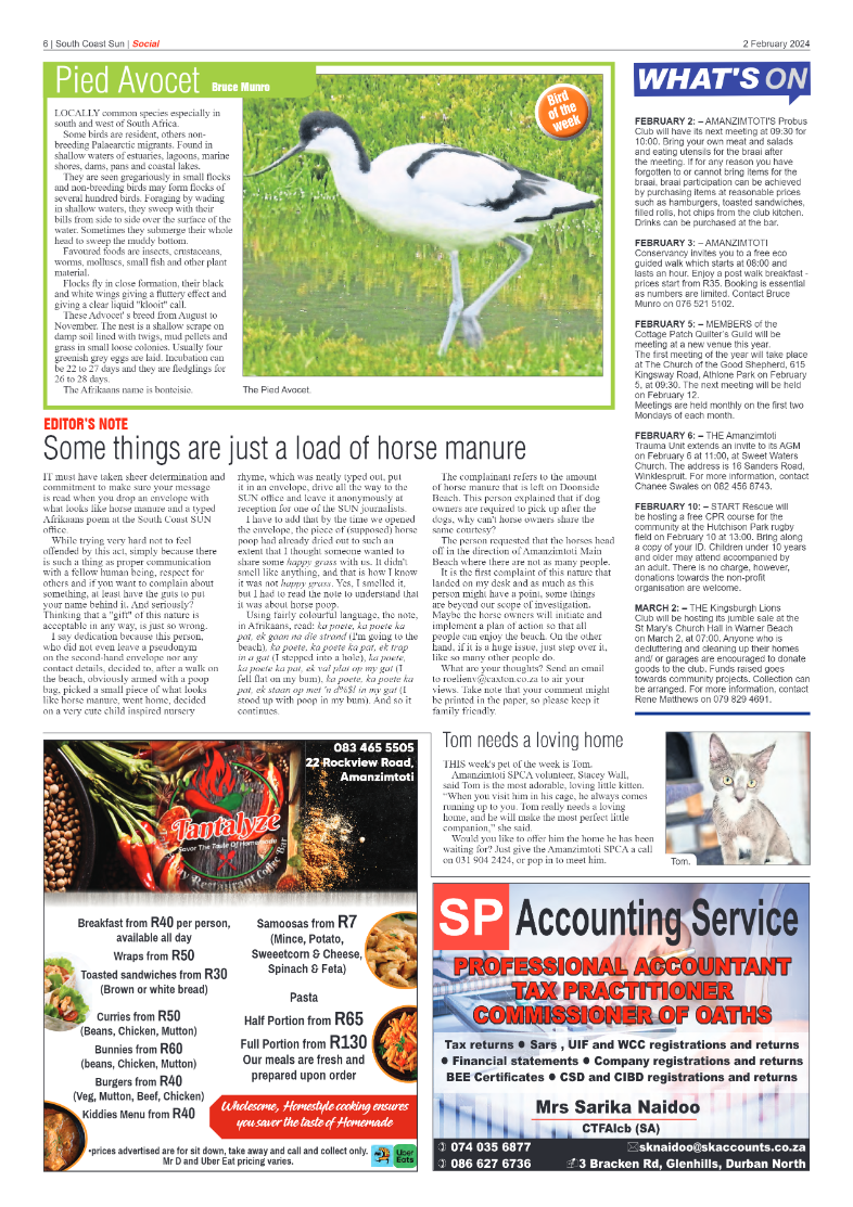South Coast Sun 2 February 2024 page 6