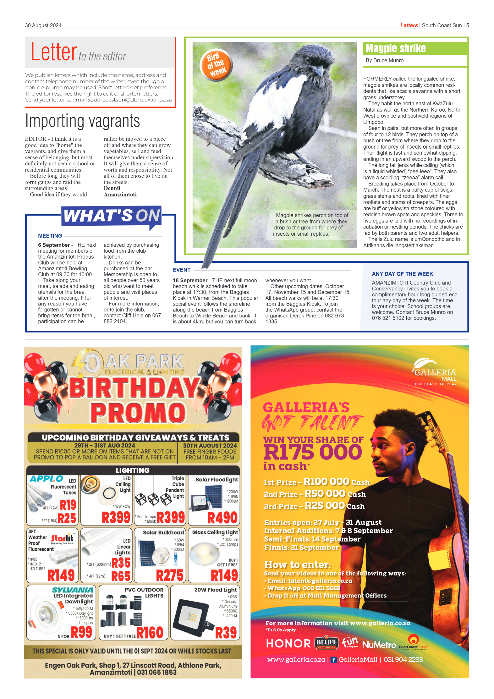 South Coast Sun 30 August 2024 page 5