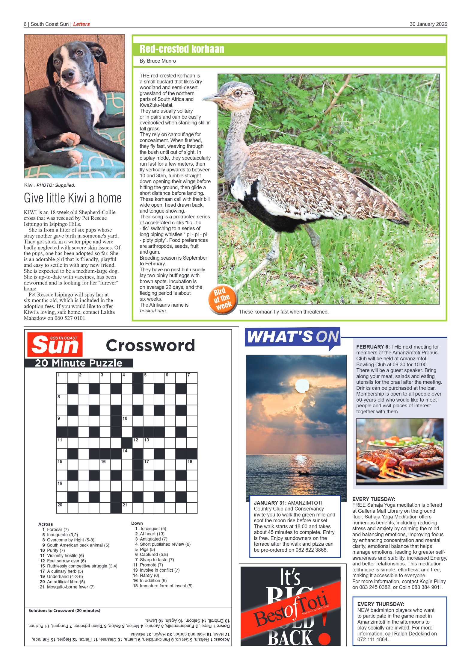 South Coast Sun 30 January 2026 page 6