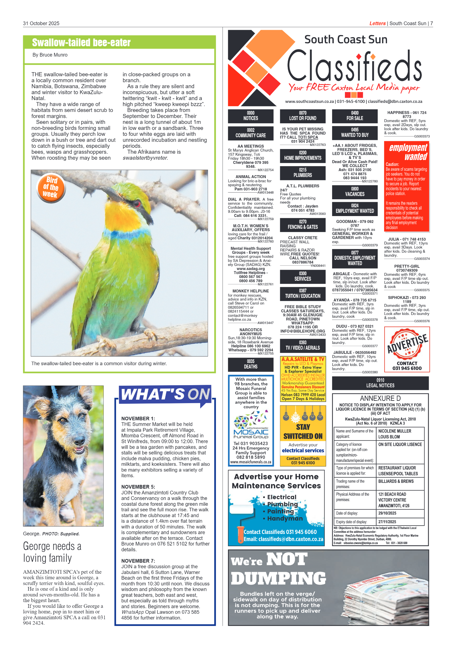 South Coast Sun 31 October 2025 page 7