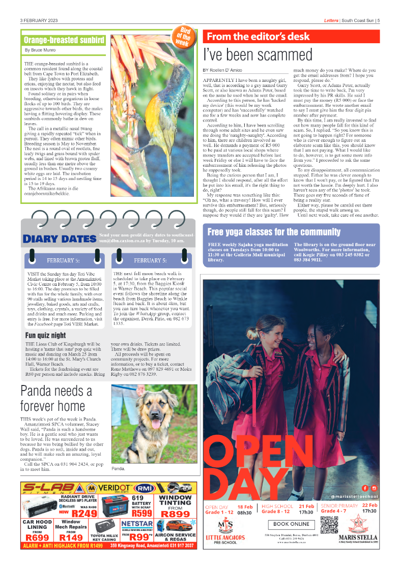 South Coast Sun 3 February 2023 page 5