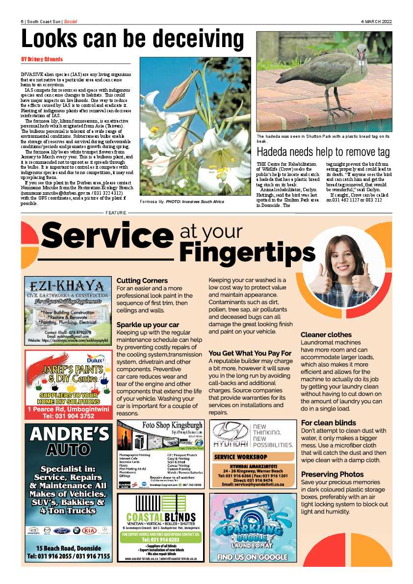 South Coast Sun 4 March 2022 page 6