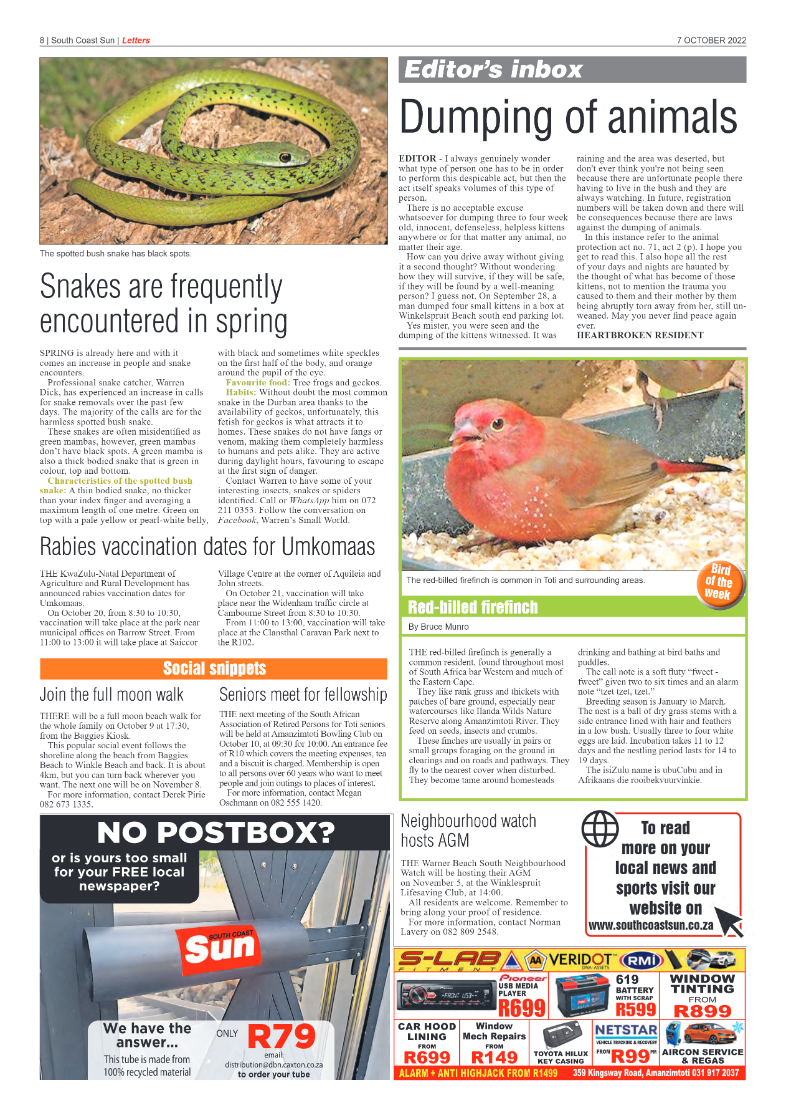 South Coast Sun 07 October 2022 page 8