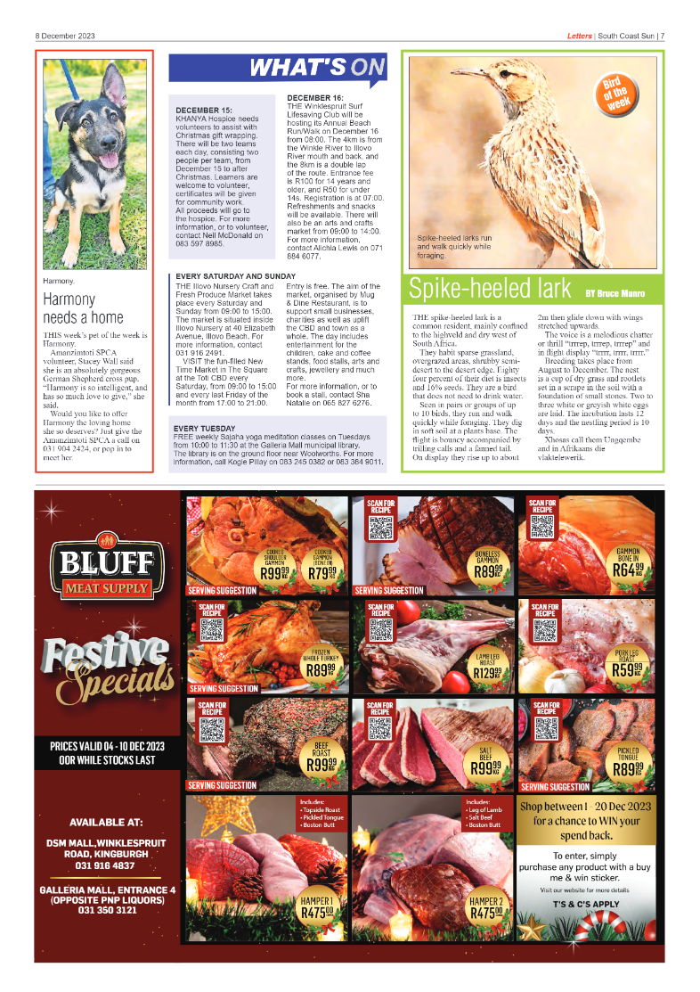 South Coast Sun 8 December 2023 page 11