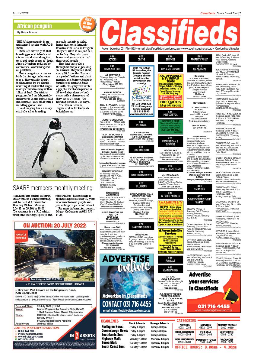 South Coast Sun 8 July 2022 page 7