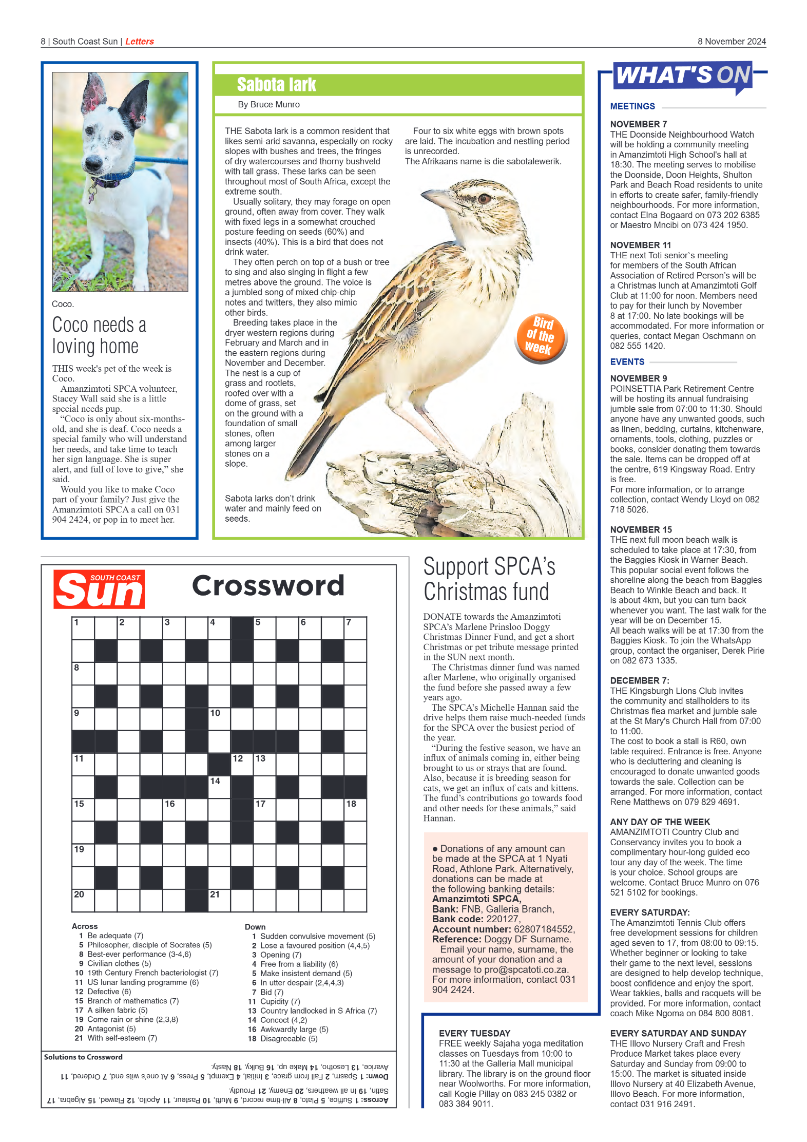 South Coast Sun 8 November 2024 page 8