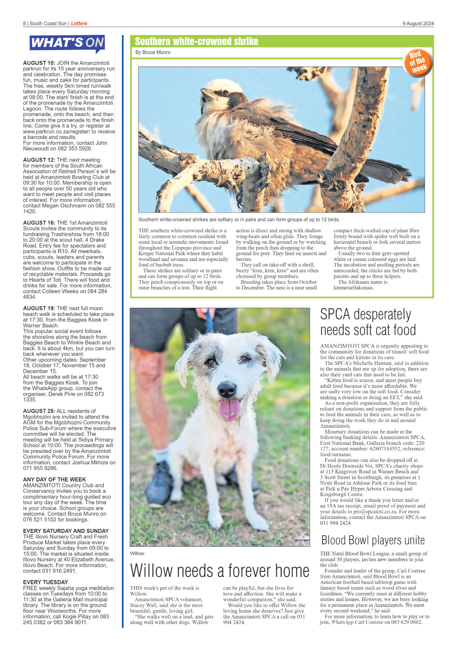 South Coast Sun 9 August 2024 page 8