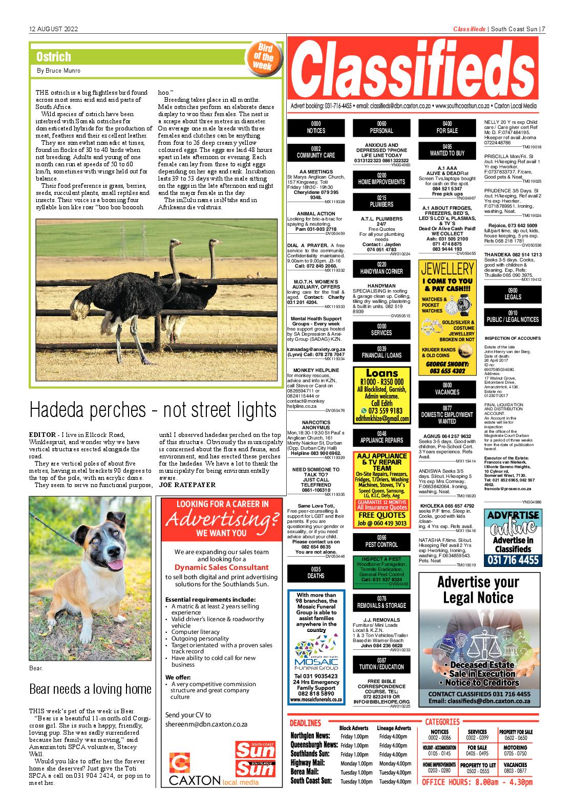 Southcoast Sun 12 August 2022 page 11