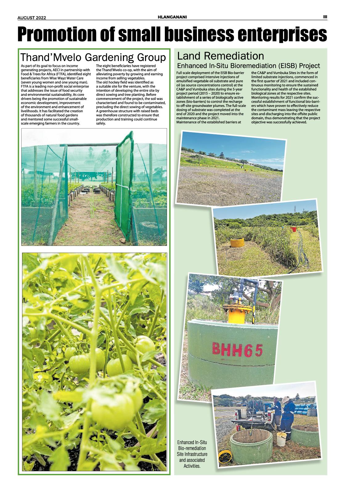 Southcoast Sun 12 August 2022 page 7