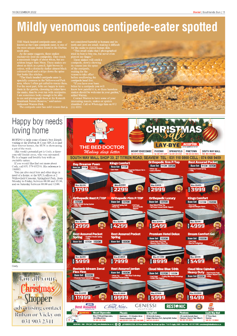 Southlands Sun 16 December 2022 page 11