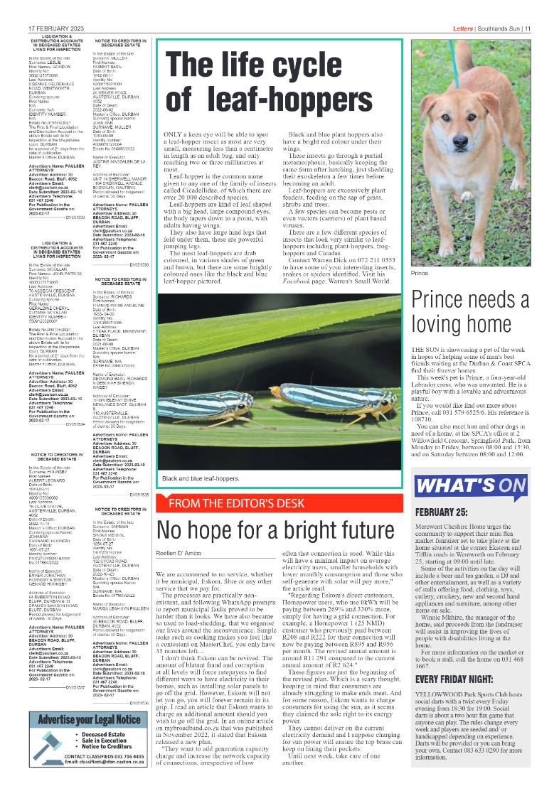 Southlands Sun 17 February 2023 page 11