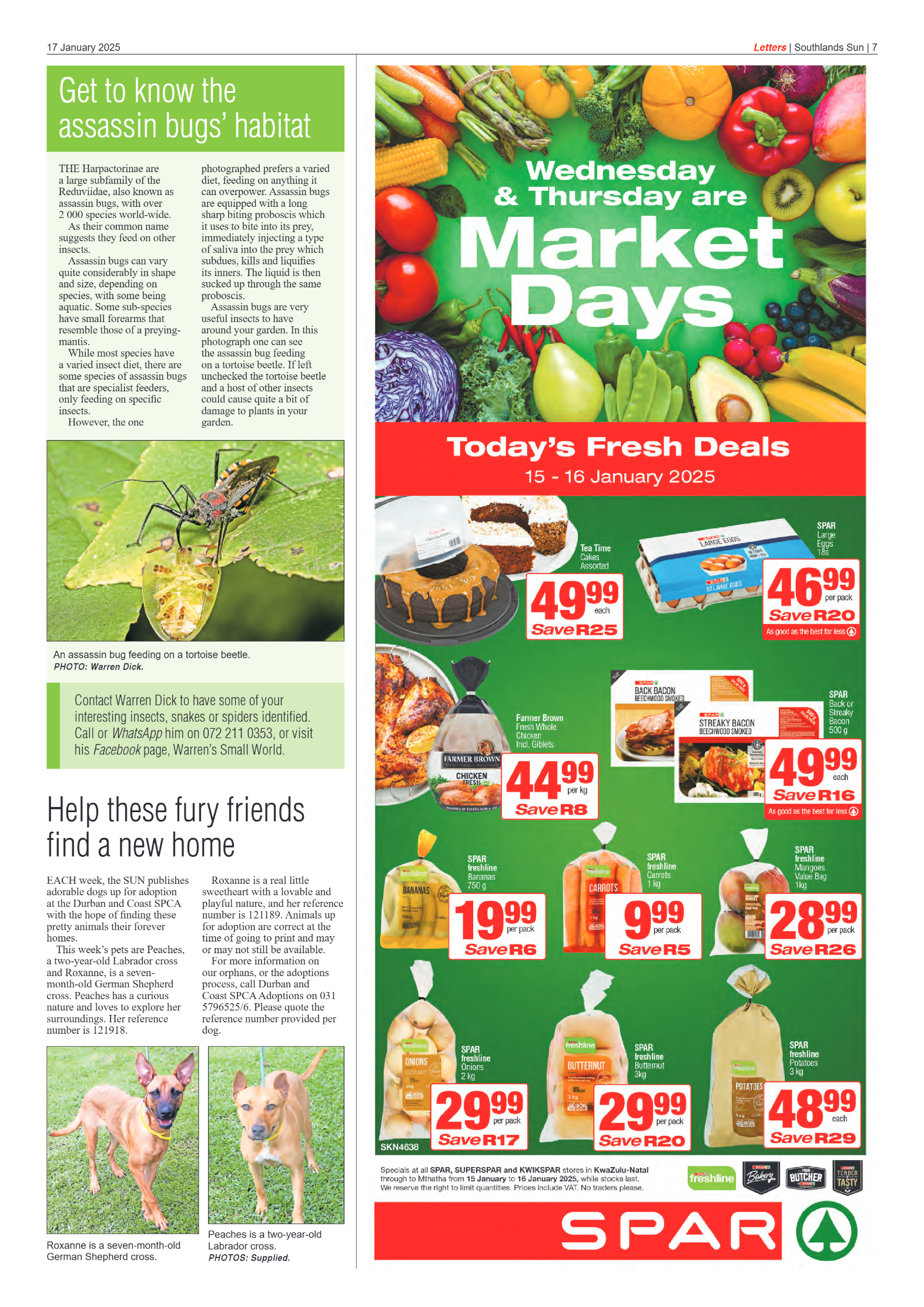 Southlands Sun 17 January 2025 page 7