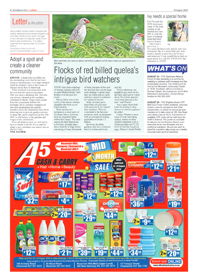 Southlands Sun 18 August 2023 page 4