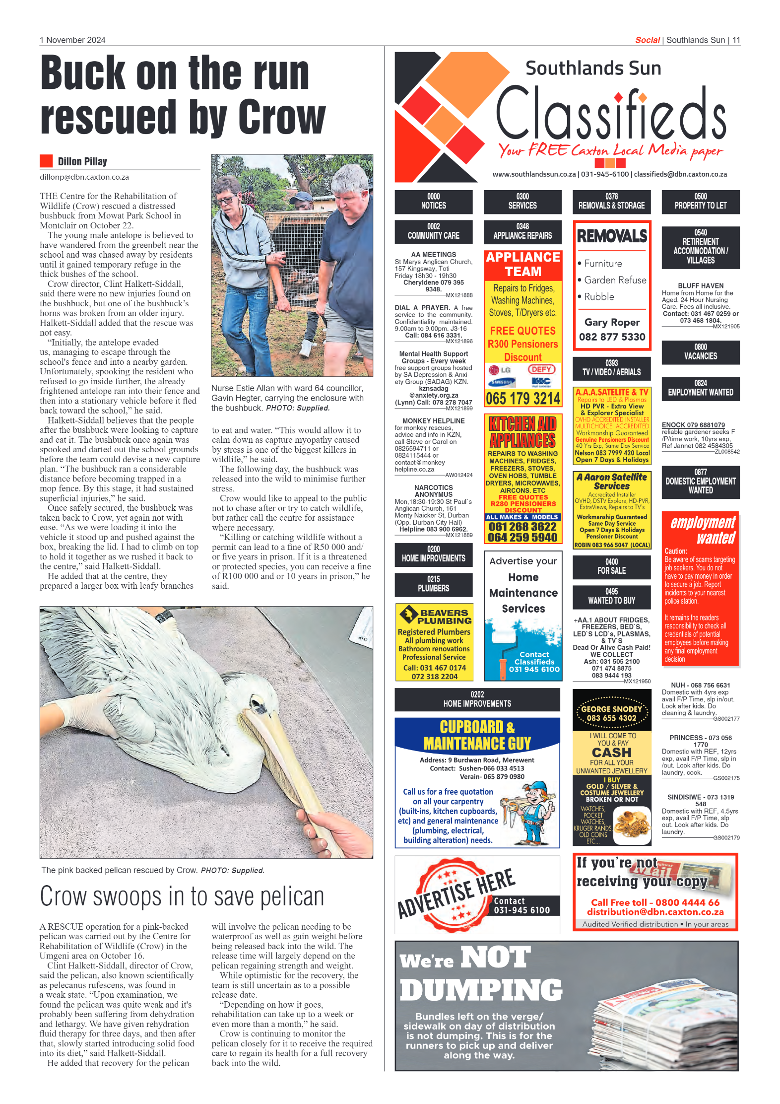Southlands Sun 1 November 2024 page 11