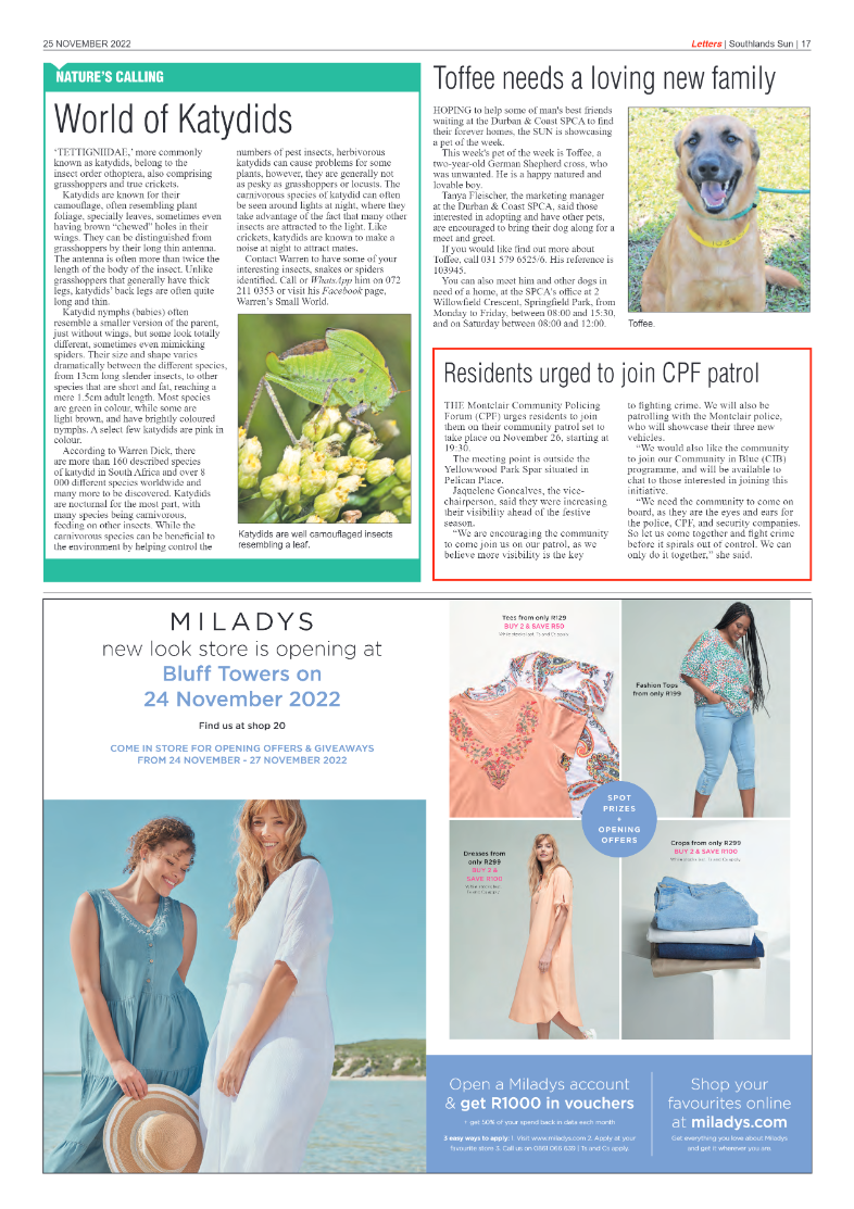 Southlands Sun 25 November 2022 page 17