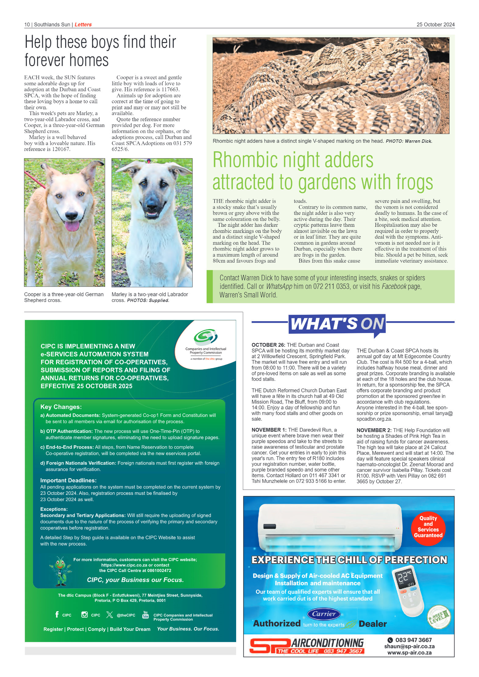 Southlands Sun 25 October 2024 page 10