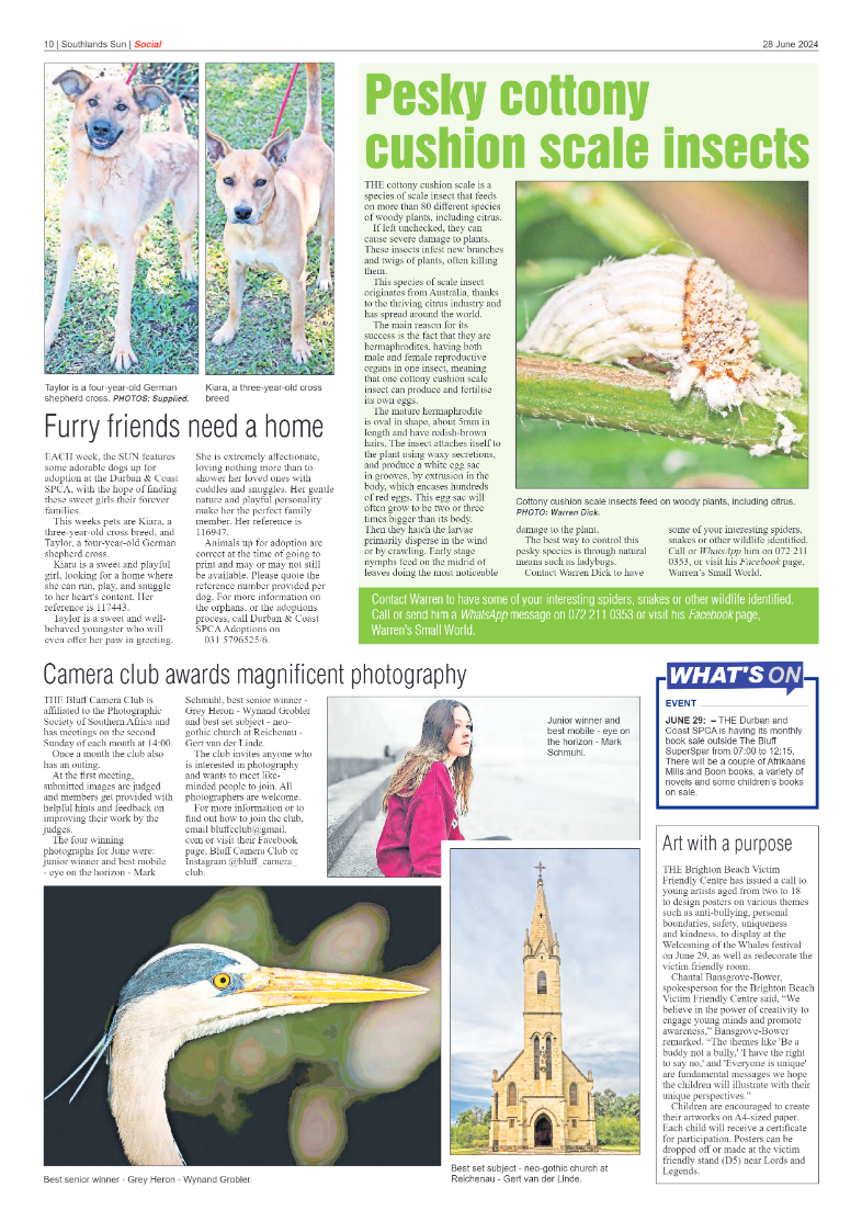 Southlands Sun 28 June 2024 page 10